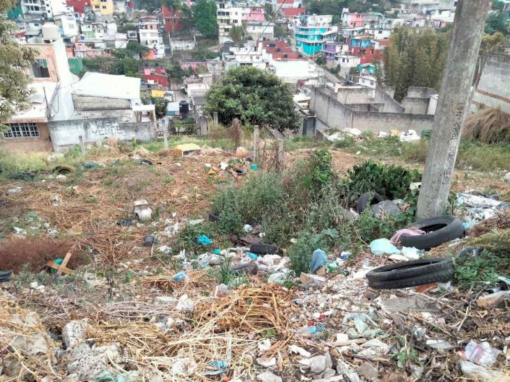 Convierten en basurero clandestino  zona baldía en Xalapa