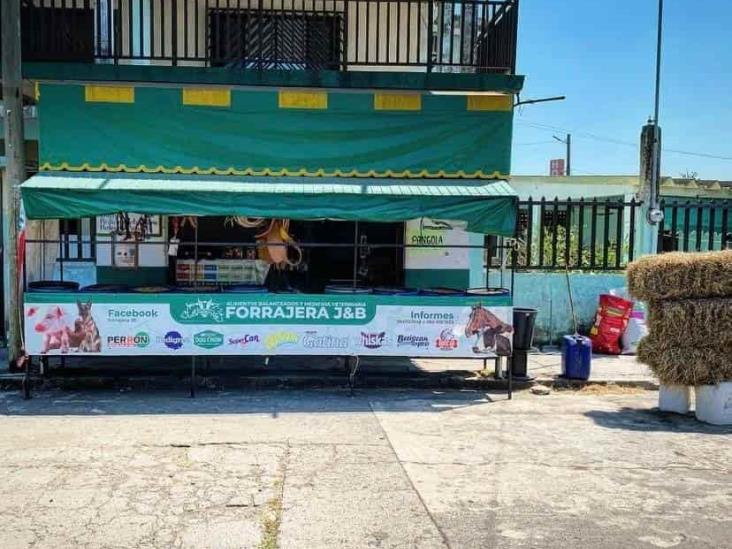 Escasez de maíz y sequías suben precios de alimentos para ganado, en Veracruz