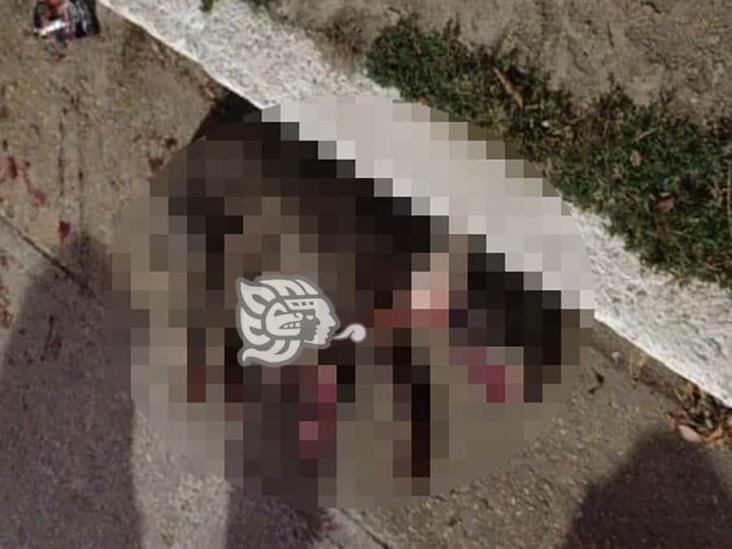 Fallece pitbull en Minatitlán por ataque a machetazos