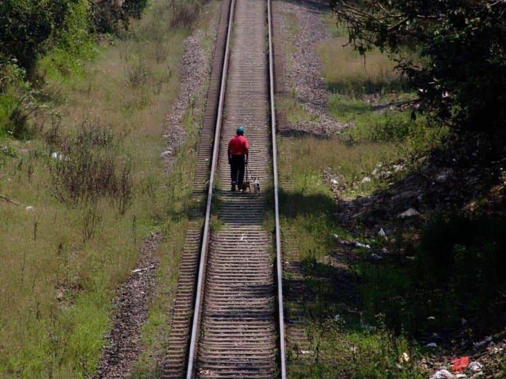 Destino del tren ligero de Xalapa se definiría esta semana