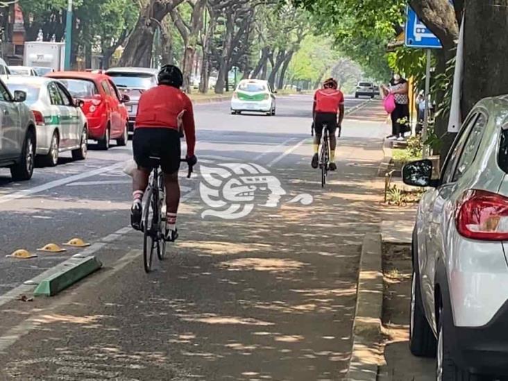 Descuidada y hasta vandalizada; ¿qué ha sido de la ciclovía de Xalapa?