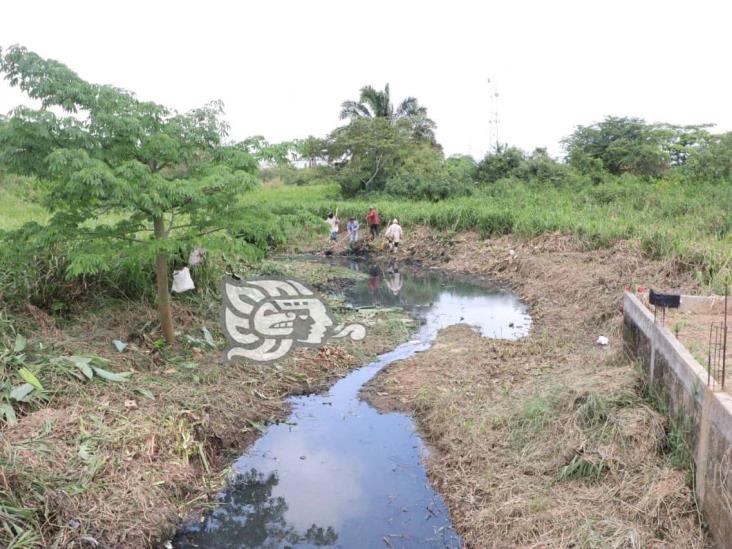 Limpian maleza en diferentes sectores de Nanchital