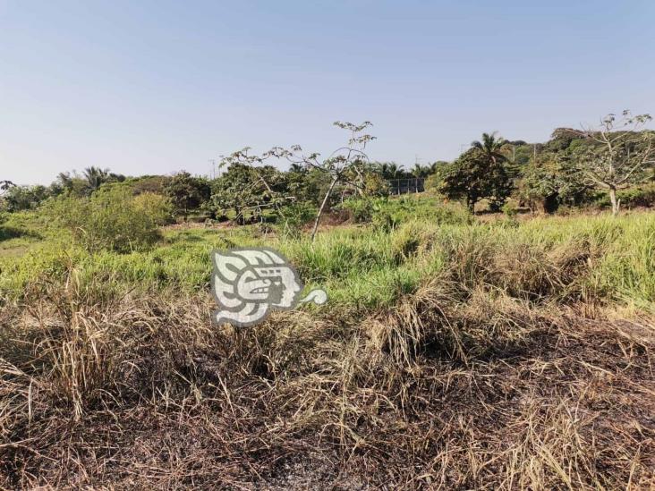 Se rehúsan a abandonar áreas verdes de predios en Nanchital