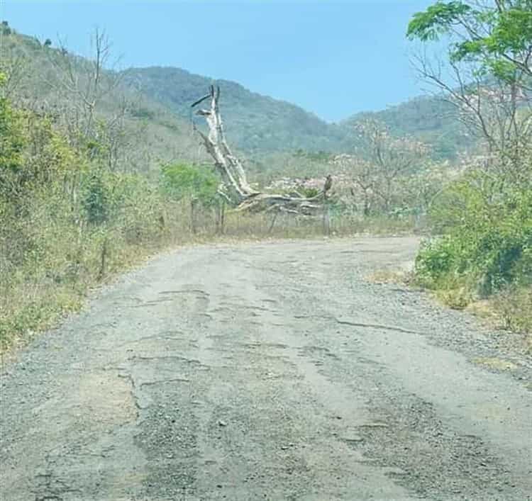 Habitantes de Alto Lucero piden rehabilitación de la carretera La Yerbabuena