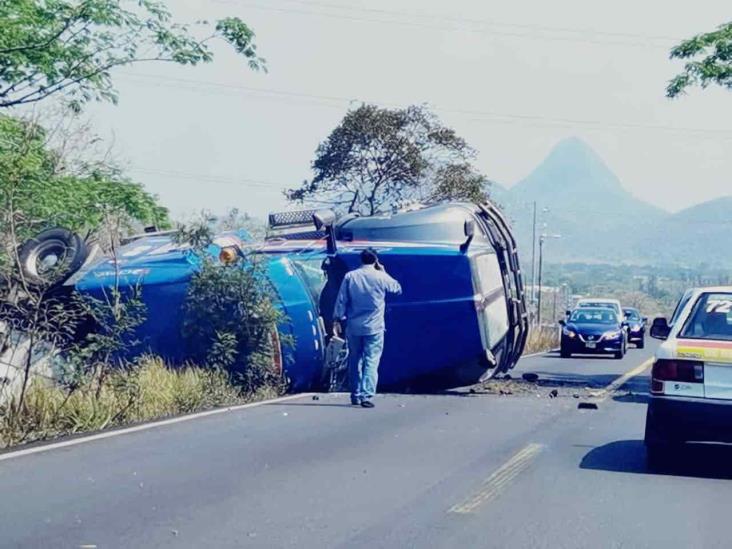 Conductor vuelca con su tráiler cargado de plátanos machos en Actopan, Veracruz