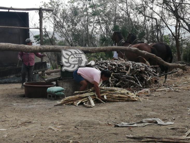 Herencia de familia; trapiche artesanal tirada por caballo y mulas