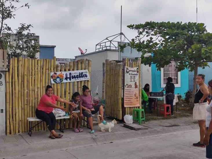 Emprenden programa de esterilización para mascotas en Arboledas San Miguel