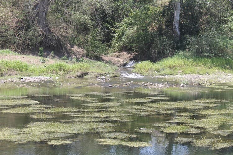 Río La Antigua, entre brujería y aguas negras