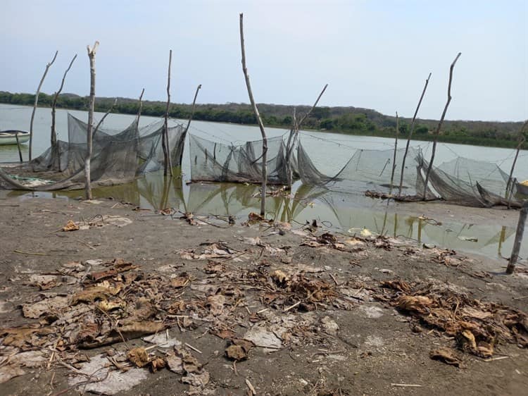 Gobierno de Veracruz y PMA dragarán la Laguna de San Julián