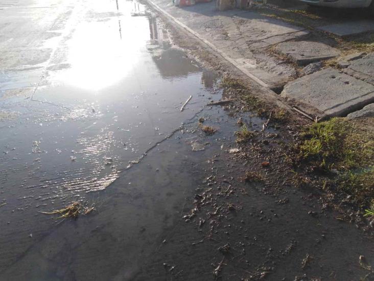 Denuncian vecinos del fraccionamiento Puente Moreno más de un año sin drenaje