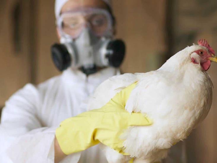 Estados Unidos confirmó su primer caso de gripe aviar en humanos
