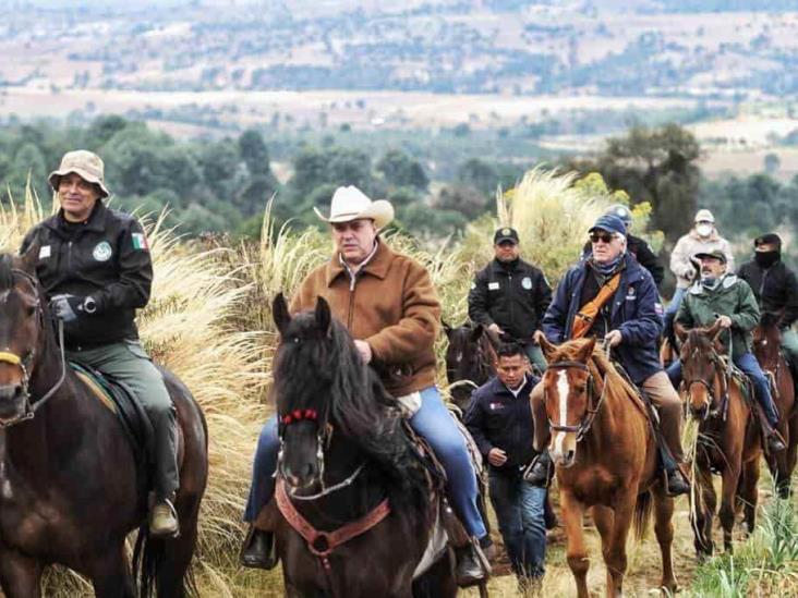 Veracruz, ejemplo nacional en combate de tala clandestina: Hugo Gutiérrez