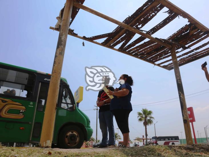 Inservibles parasoles metálicos en la ciudad; piden mantenimiento