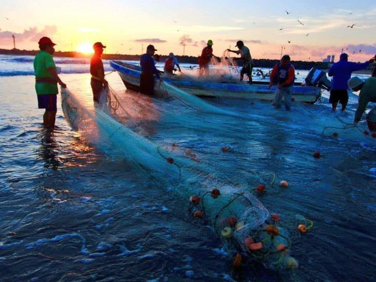 Aplican veda de camarón en Veracruz a fin de mes