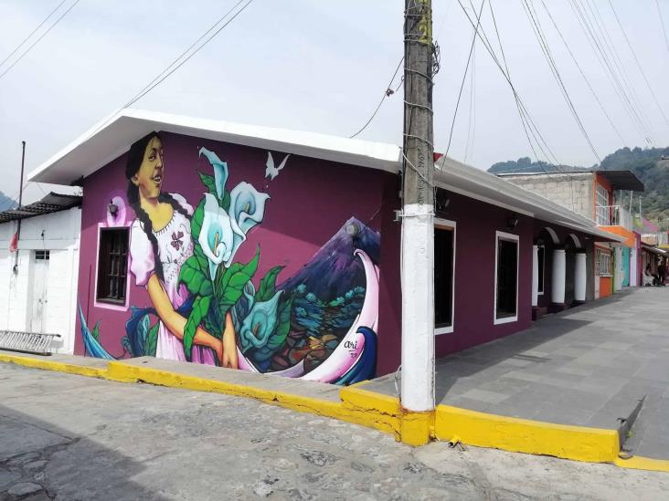 Con increíble mural, maestro xalapeño ‘da vida’ a casas en las Altas Montañas