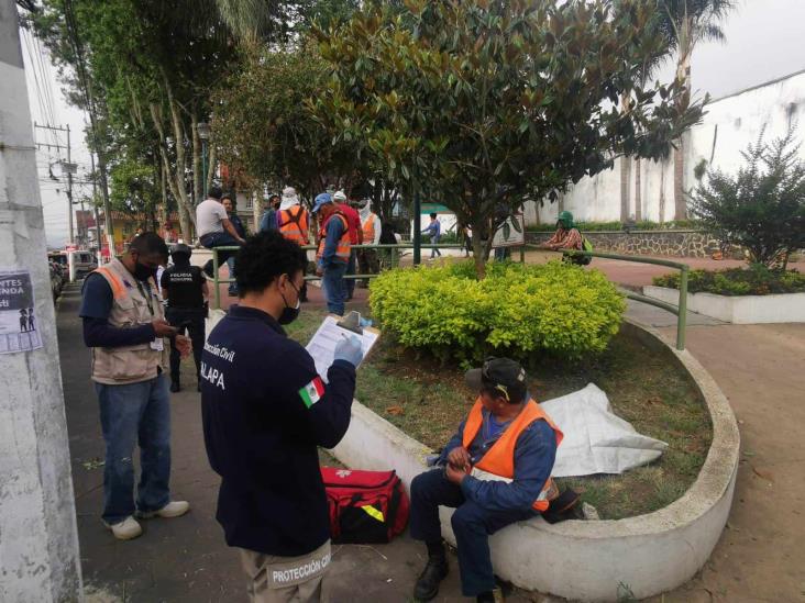 Atacan abejas a trabajadores del Ayuntamiento de Xalapa y transeúntes