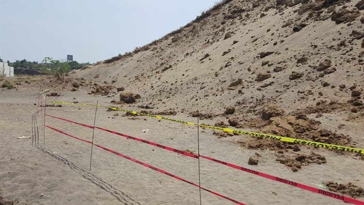 Acordonan duna donde hallaron vestigios arqueológicos en Lomas 4