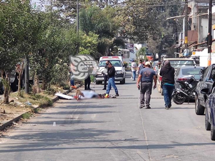 Ciclista es arrollado por cobarde sujeto en colonia de Xalapa