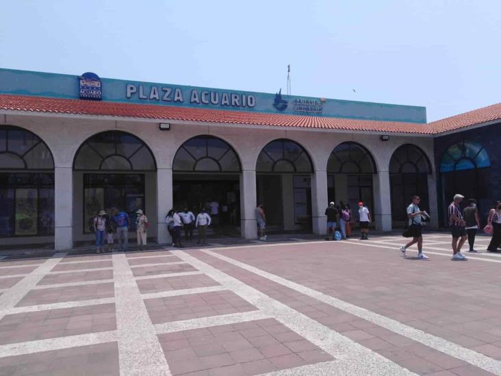 Plaza Acuario con cucarachas y sin aire acondicionado: comerciantes