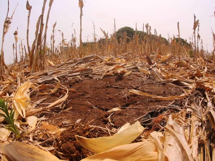 Falta de lluvias extenderá sequía hasta julio: SPC