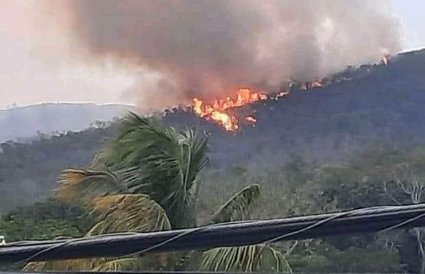 Incendio sin control se extiende en Apazapan; habitantes piden ayuda