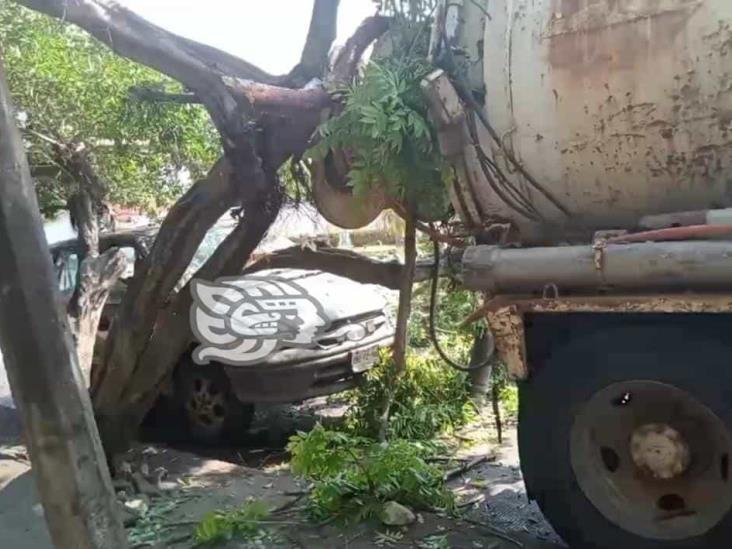 Camión da reversa e impacta árbol; causa daños a vagoneta