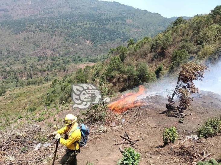 Tras protesta de pobladores, combaten incendio en cerro de Necoxtla