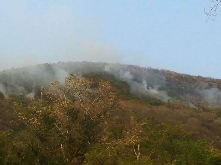 Incendio en Apazapan amenaza con extenderse a Carrizal