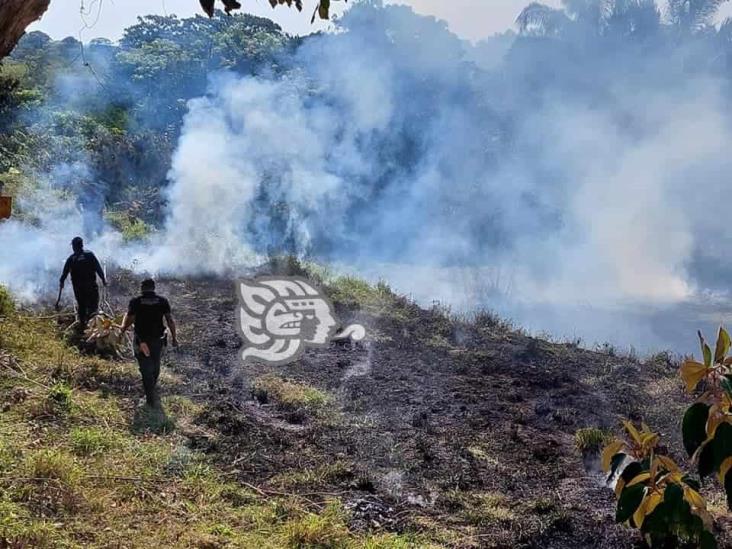 Altas temperaturas desatan más incendios en Moloacán 