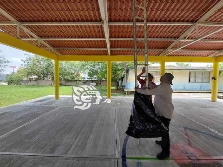 Remueven panal de abejas en preescolar de Nanchital