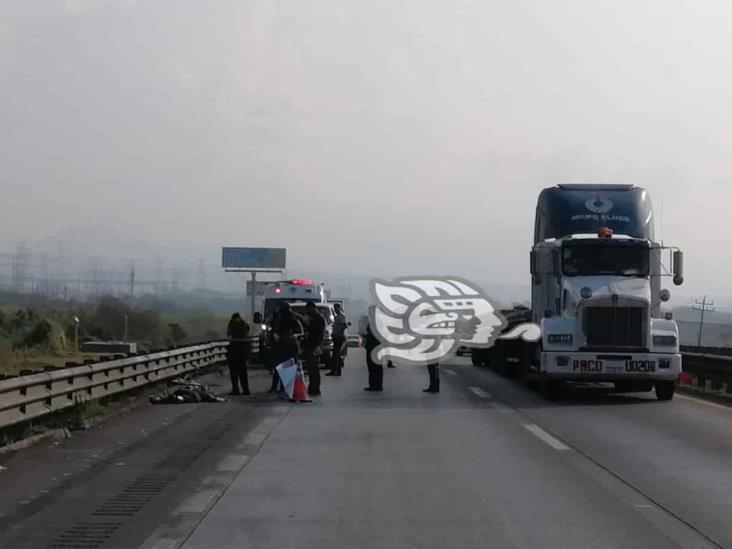 Hombre muere atropellado en la autopista 150D Córdoba-Puebla