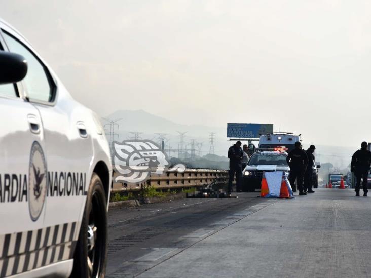 Hombre muere atropellado en la autopista 150D Córdoba-Puebla