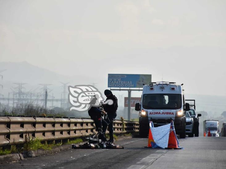 Hombre muere atropellado en la autopista 150D Córdoba-Puebla