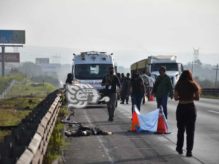 Hombre muere atropellado en la autopista 150D Córdoba-Puebla