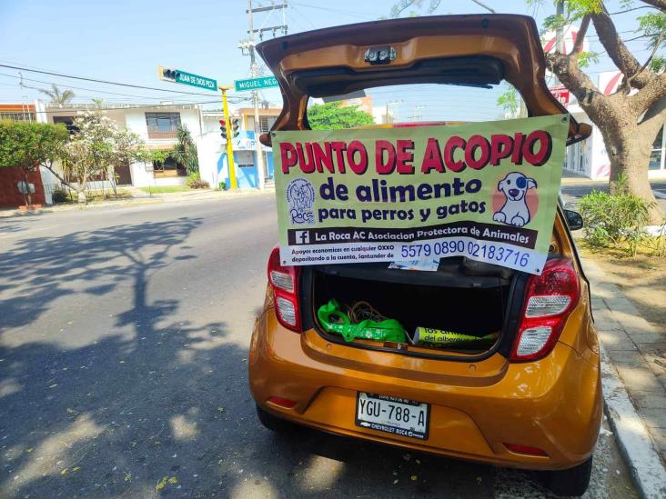 ¡Entérate! Este domingo realizarán croquetón por Carnaval Canino 2022 en Veracruz