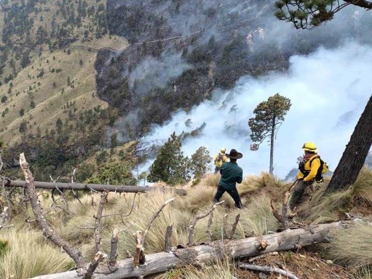 Brigadistas controlan al 95% incendio en Pico de Orizaba