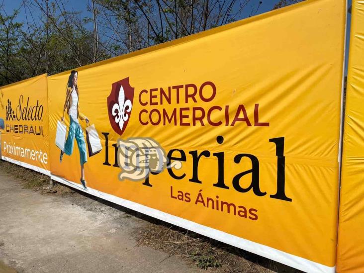 En Xalapa, ambientalistas ‘clausuran’ obras de Imperial Las Ánimas