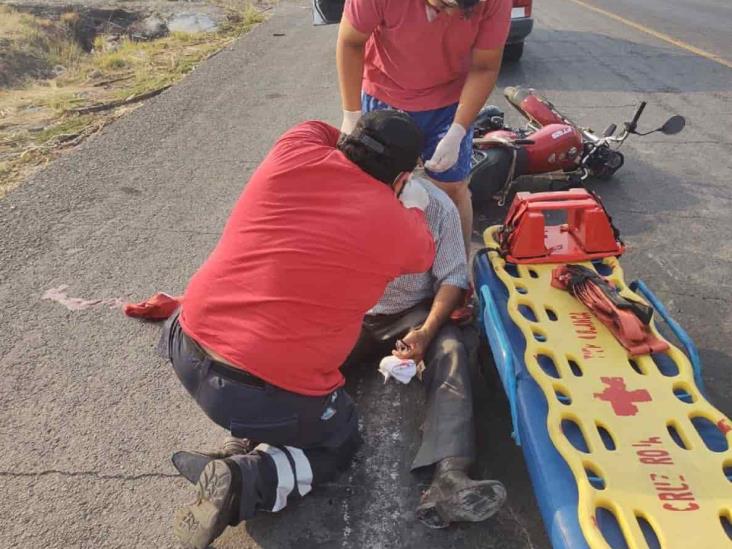 Borregos provocan accidente a motociclista, en Tierra Blanca