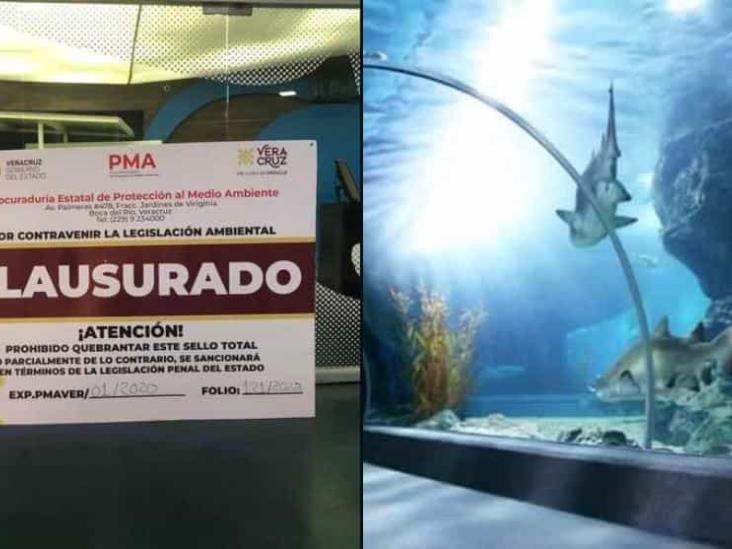Acuario de Veracruz no trafica con especies: administración