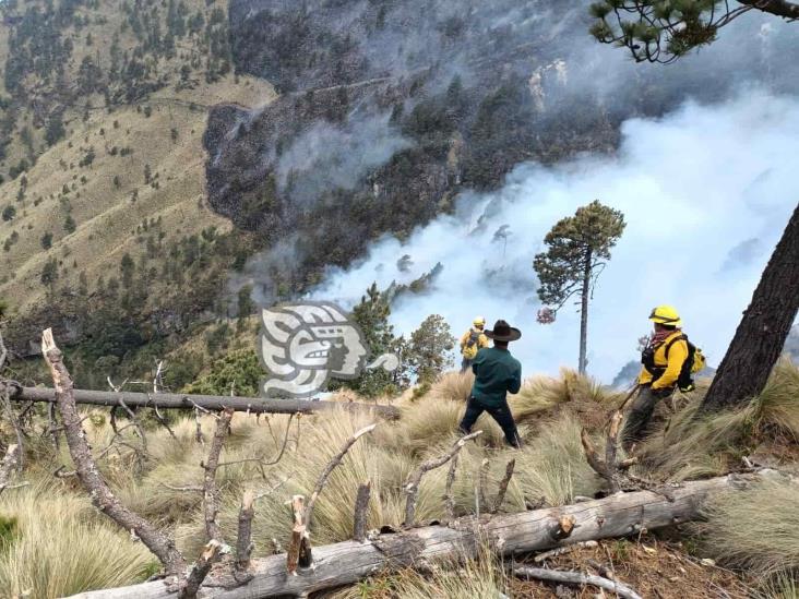 Luego de 5 días de labores, liquidan incendio en volcán Pico de Orizaba