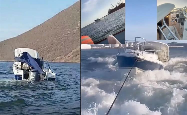 ¡Insólito! Ballena saltó sobre embarcación con turistas en Topolobampo, Sinaloa