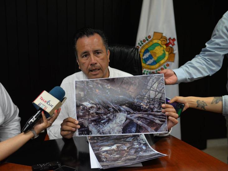 Acuario de Veracruz intentó ocultar cuerpo de manatí; lo incineró: gobernador