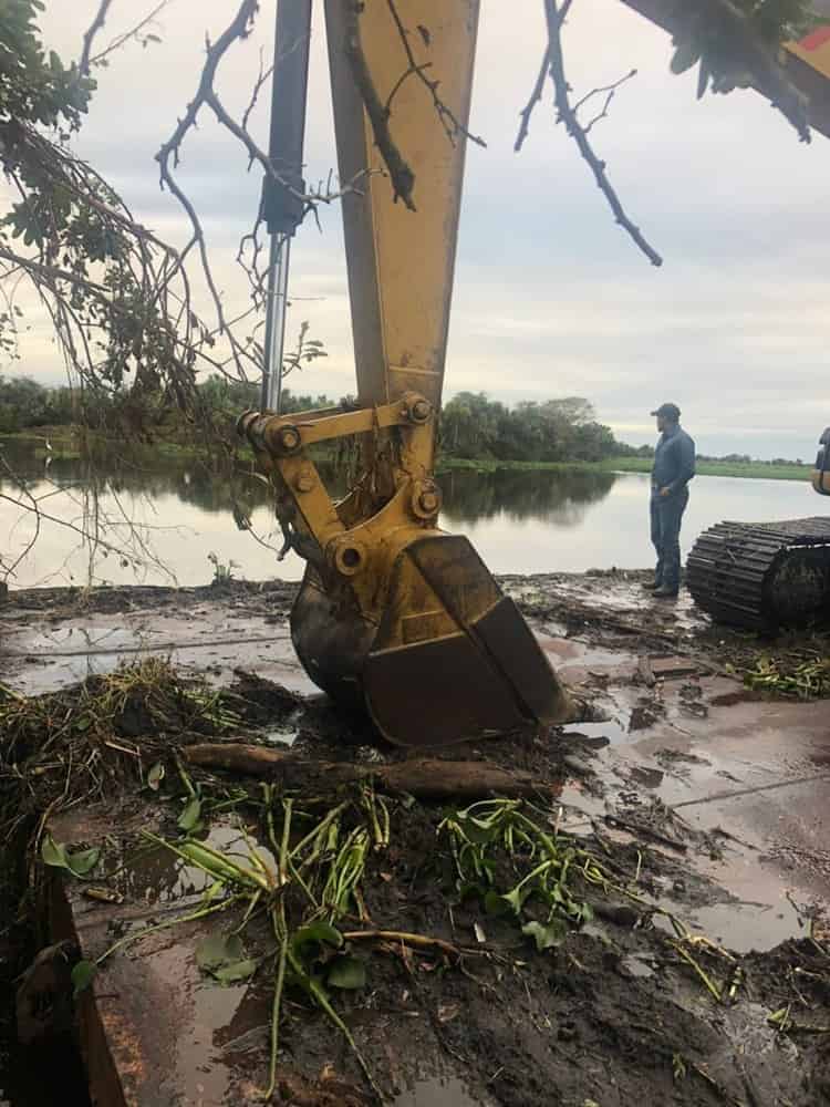 PMA provocó muerte de manatí durante dragado en río Camarón: Earth Mission