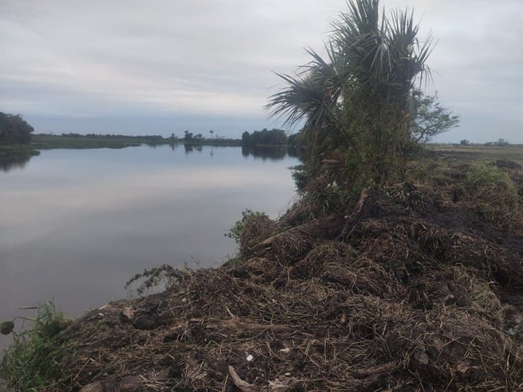 PMA provocó muerte de manatí durante dragado en río Camarón: Earth Mission