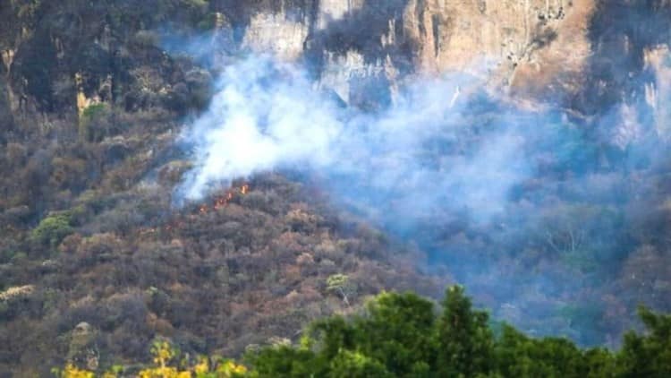 Hombre muere al intentar sofocar un incendio forestal en Oaxaca