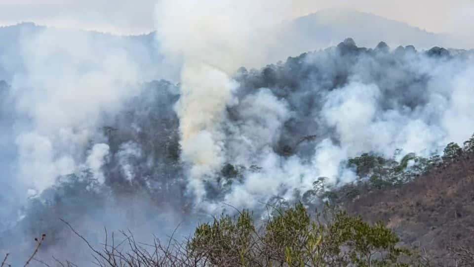 Hombre muere al intentar sofocar un incendio forestal en Oaxaca