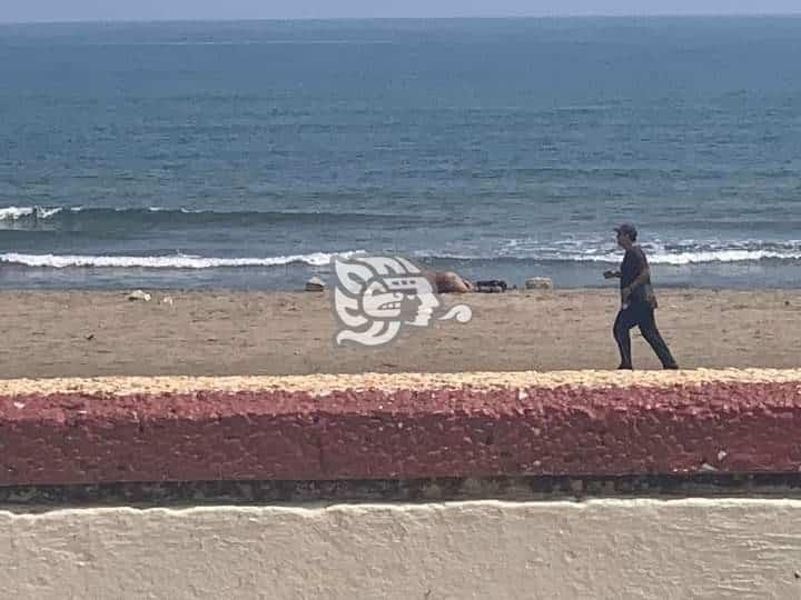 Hombre desnudo provoca expectación en playa de Coatzacoalcos