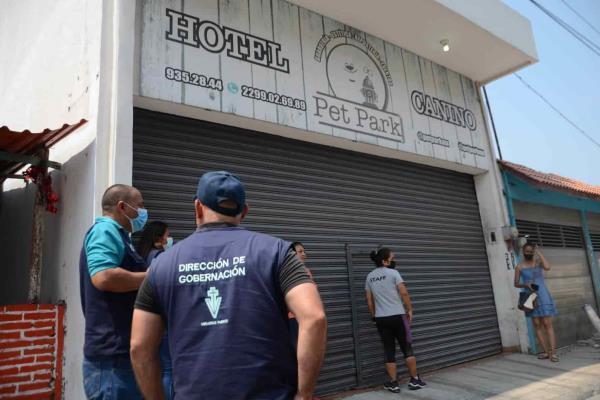 Realizan operativo por maltrato animal en hotel canino de Veracruz