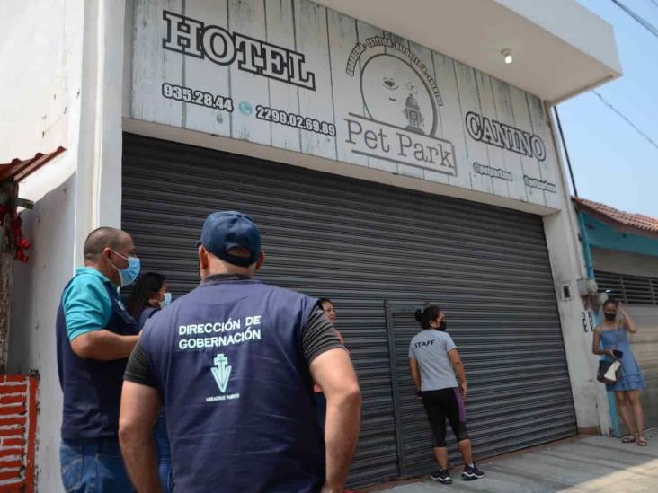 Realizan operativo por maltrato animal en hotel canino de Veracruz