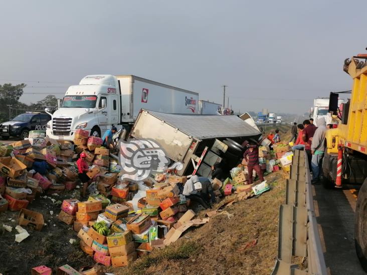 Vuelca tráiler cargado con plátano en la Córdoba-Puebla; rapiñeros se hacen presentes